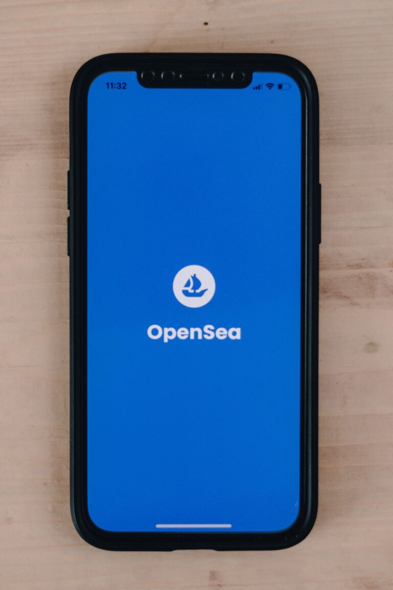 Image of OpenSea app loading page. Photo by Behnam Norouzi on Unsplash