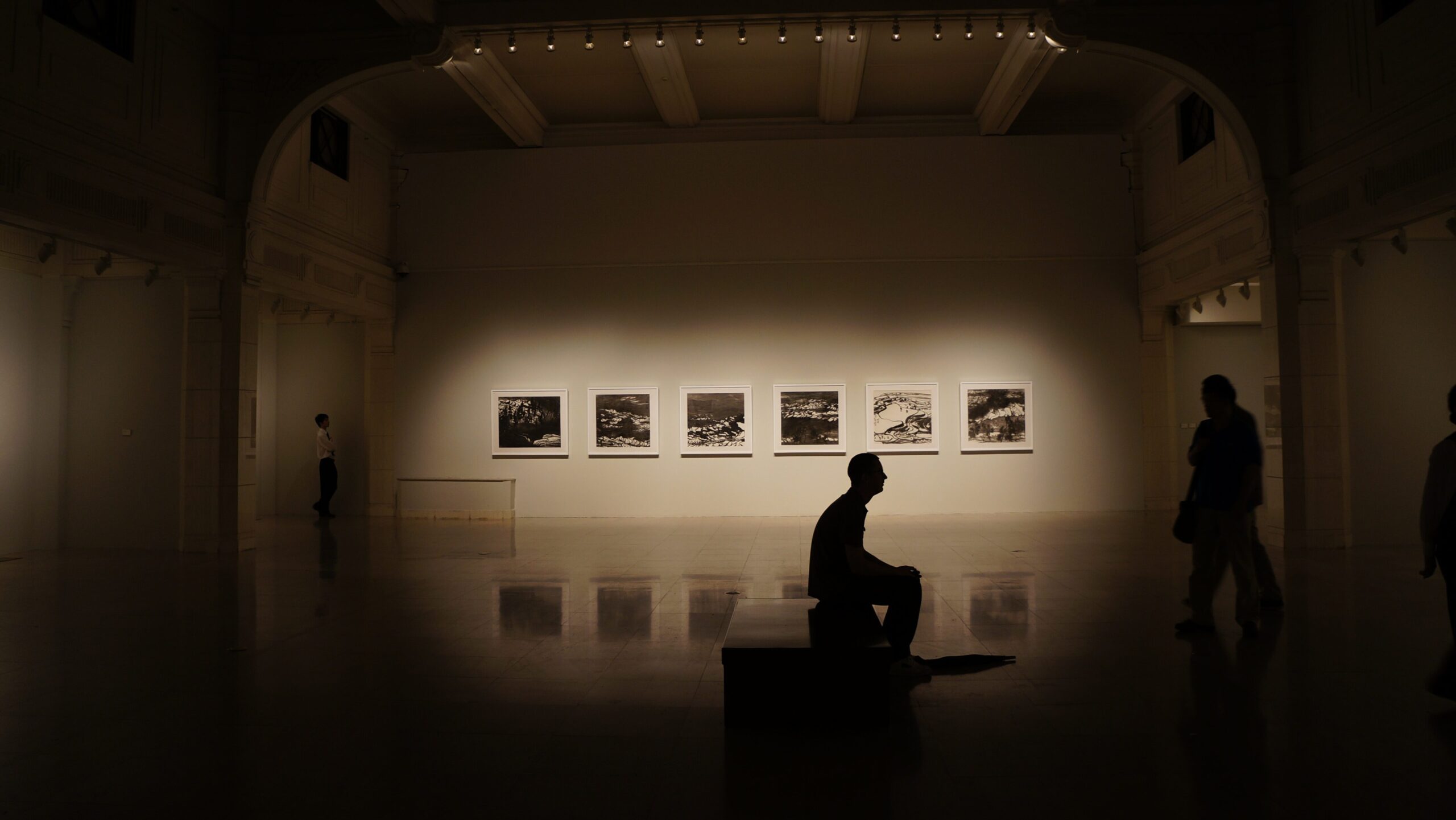 Silhouette of art investor in photography gallery. Photo by Pixabay on Pexels