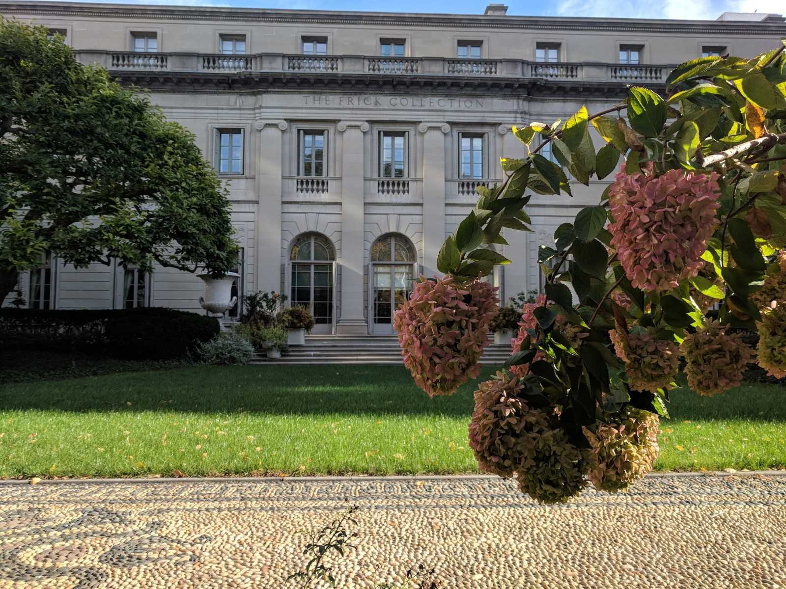 The Frick Collection Fifth Avenue garden in spring. Photo by Ying Cao