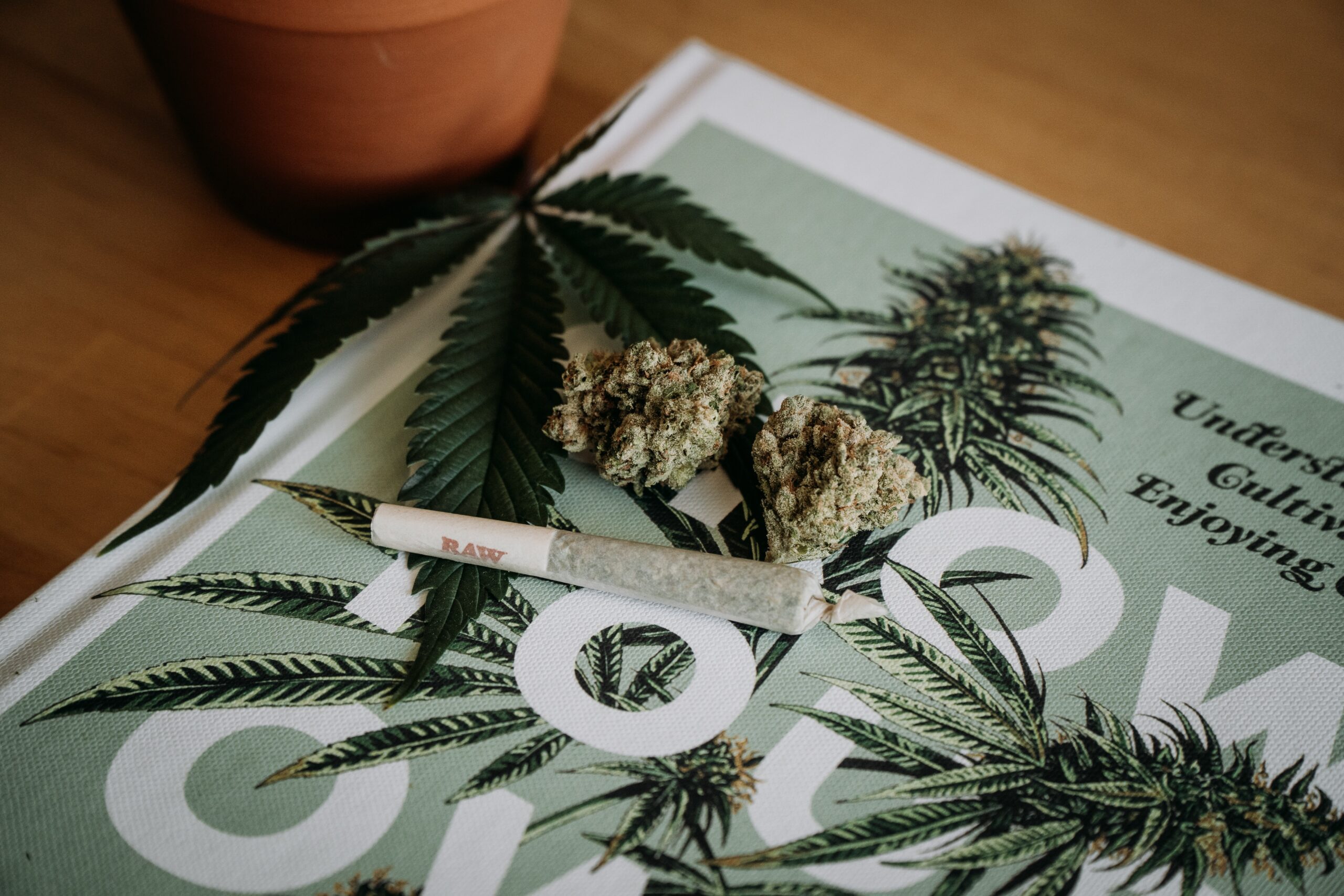 Cannabis Flower & Joint. Photo by Shelby Ireland on Unsplash